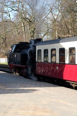 Molli Kleinbahn Schmalspurbahn